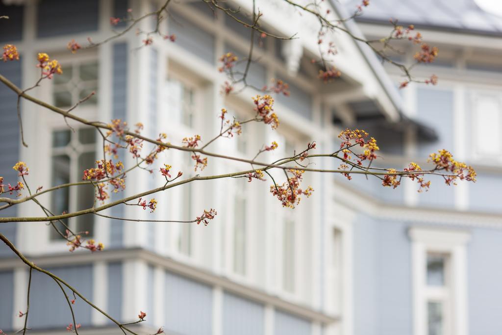 Katrin Apartments Jūrkalne 외부 사진